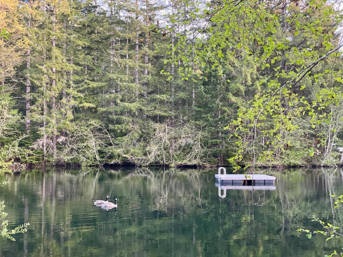 Mt Rainier Little Green Cabin On Big Creek! Ashford Exterior foto